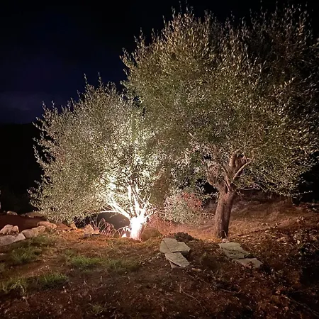 U Fiore Di L Agriate